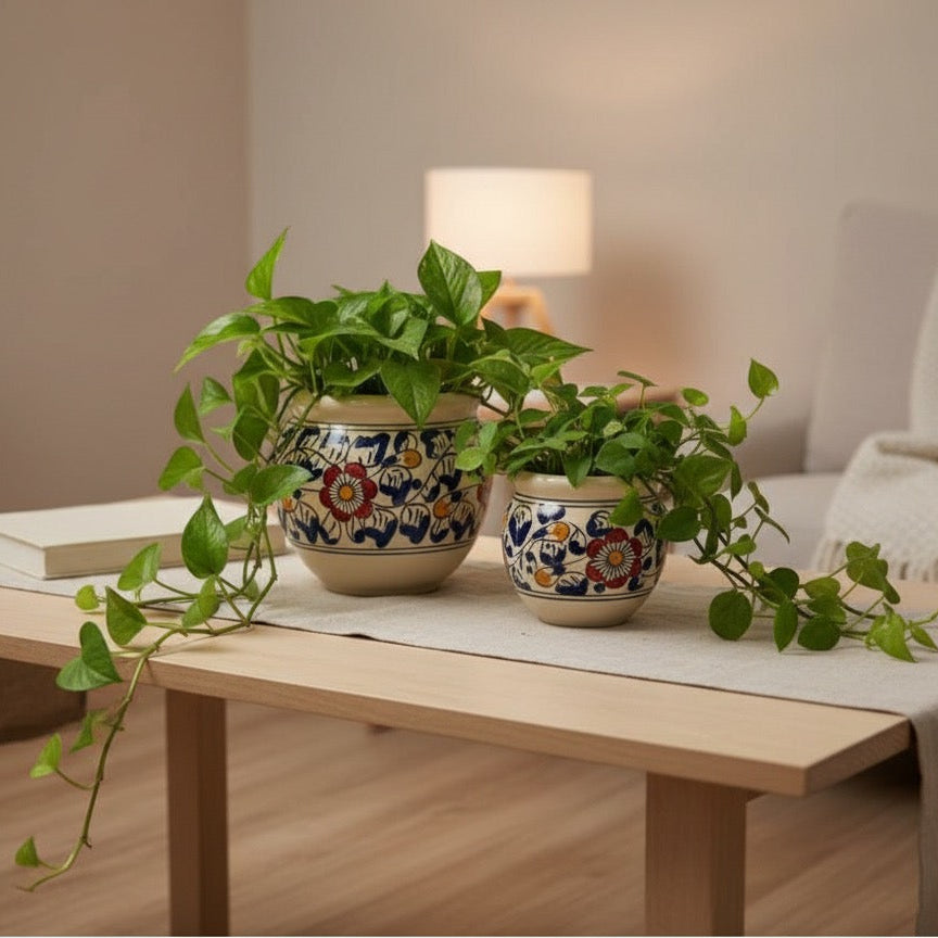 Set of 2 Hand Painted Floral Ceramic Planters – Indoor & Outdoor Decorative Pots, 22x19cm”