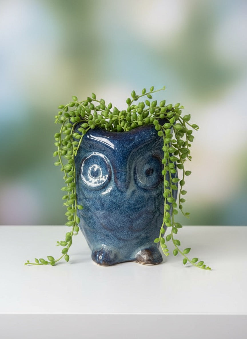 Blue owl-shaped planter with green plant on a white surface
