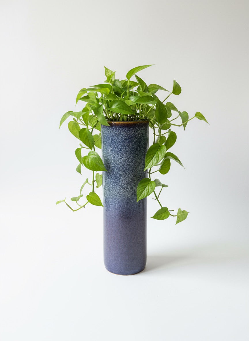 Cylindrical blue and purple ceramic planter with lush green plant inside
