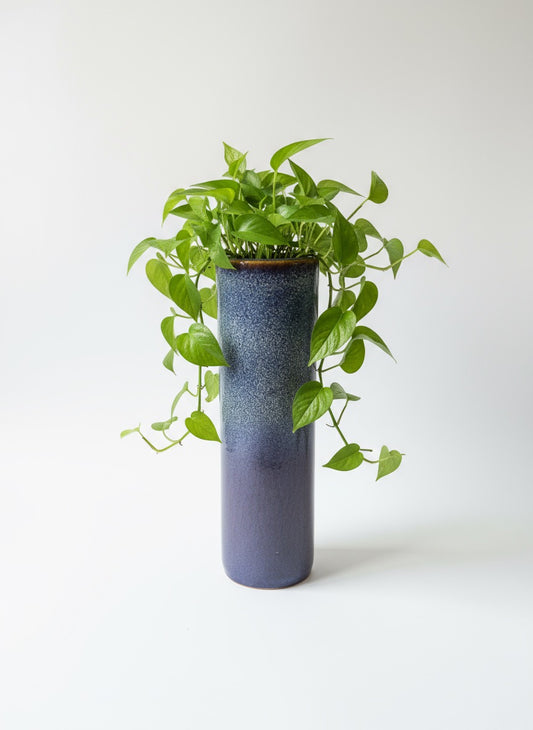 Cylindrical blue and purple ceramic planter with lush green plant inside