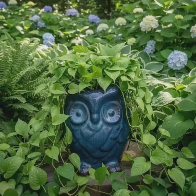 Close-up of glossy blue owl-shaped ceramic planter showing detailed eyes and overflowing indoor plants.